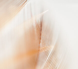 Eltumi Partners to host Insight Series on Libya's upstream sector in partnership with the Bilateral Chamber of Commerce.