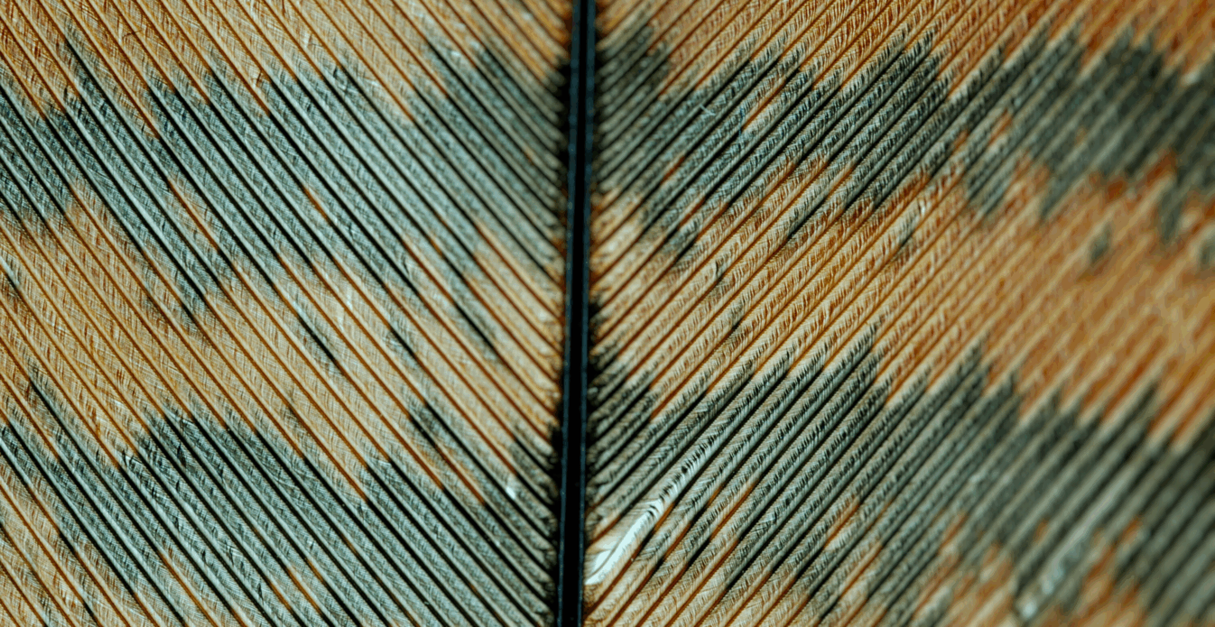 Eltumi Partners Joins the Bilateral Chamber of Commerce as a Strategic Partner for Libya and North Africa