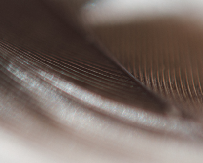 Chambers Global 2026 Names Eltumi Partners a Leading Libyan Firm