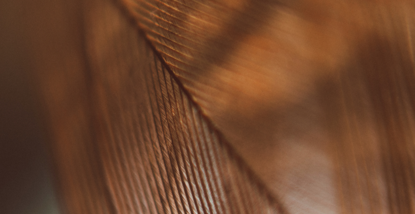 Eltumi Partners Retains Tier 1 Ranking in Legal 500 EMEA 2026