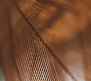 Eltumi Partners Retains Tier 1 Ranking in Legal 500 EMEA 2026