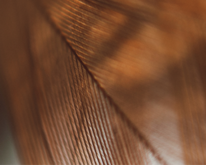 Eltumi Partners Retains Tier 1 Ranking in Legal 500 EMEA 2026